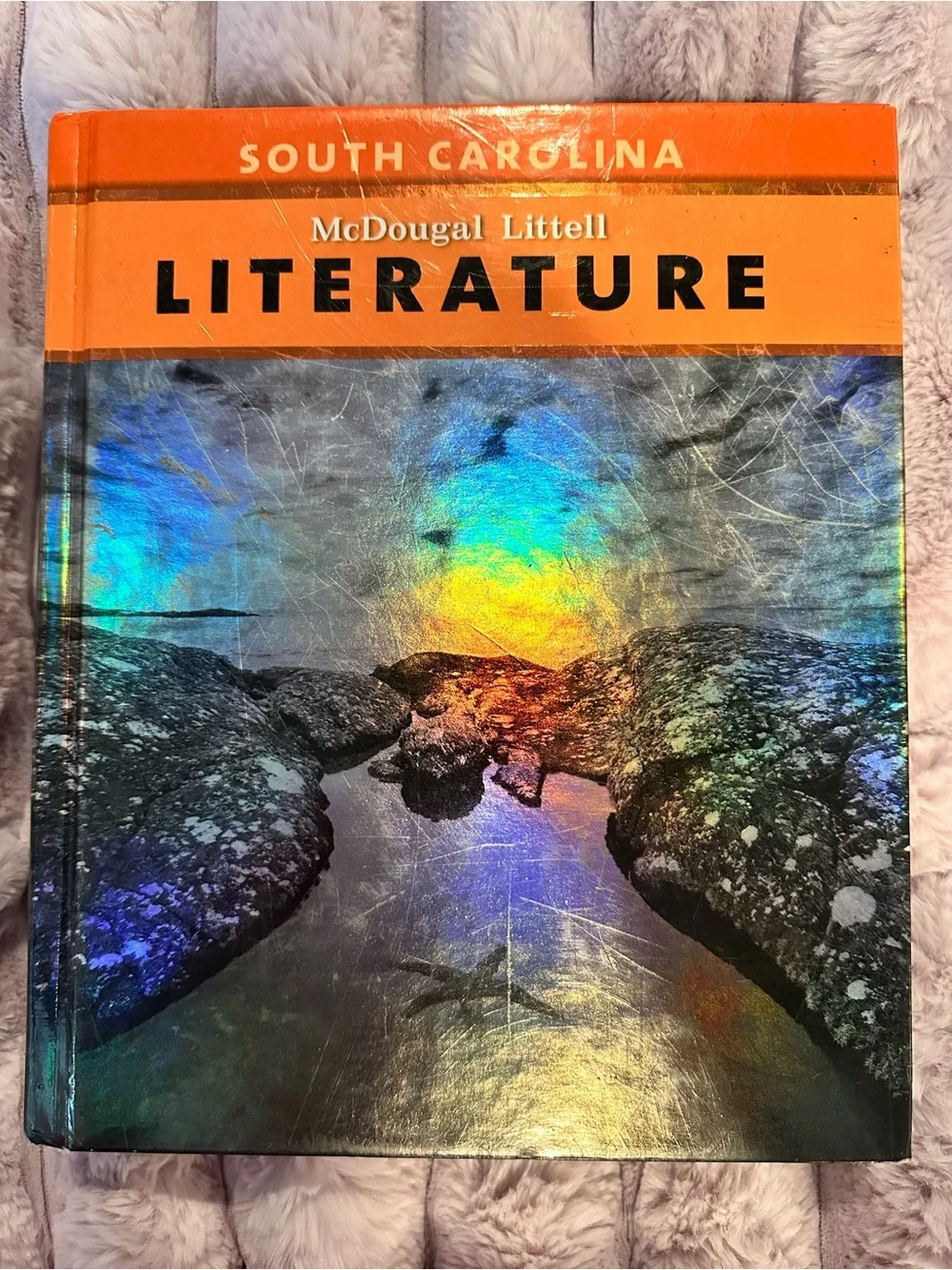 South Carolina Literature McDougal Littell Hardcover in Orange